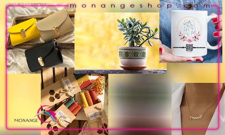 گلدان ساده سرامیکی یا گیاه کوچک آپارتمانی